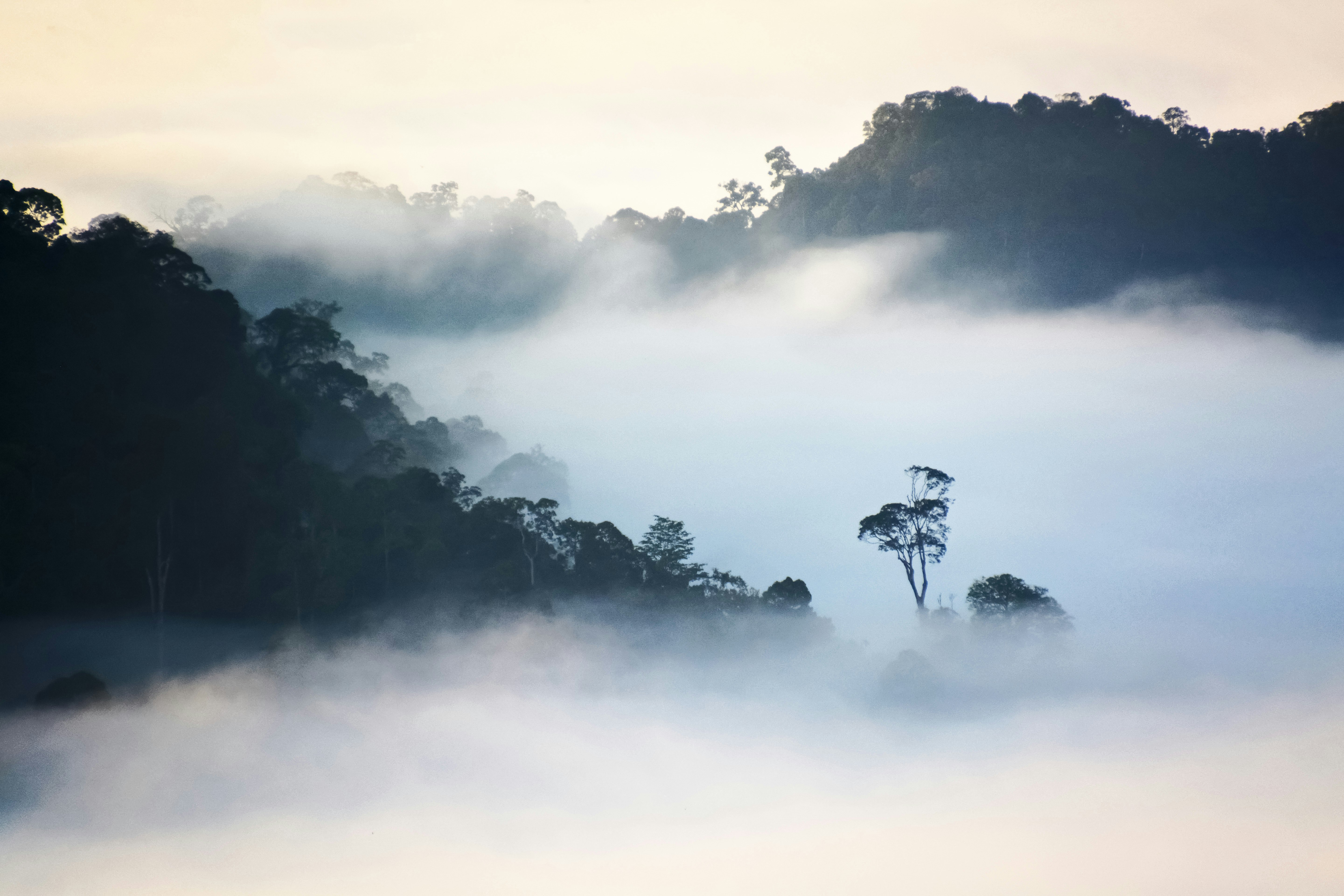 green trees on mountain under white clouds